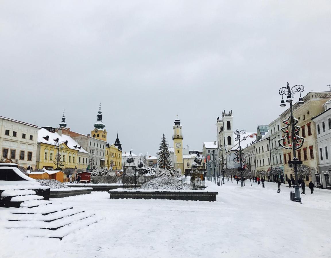 Bl - The Penthouse, 24Hr Self Check-In, 2 Bedrooms, Fireplace, Ac, Panoramic View From Main Balcony, 3-Minute Walk To City Center Banská Bystrica Buitenkant foto