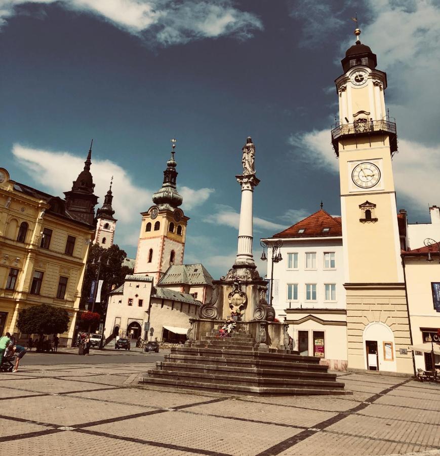 Bl - The Penthouse, 24Hr Self Check-In, 2 Bedrooms, Fireplace, Ac, Panoramic View From Main Balcony, 3-Minute Walk To City Center Banská Bystrica Buitenkant foto